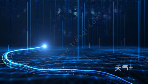 電子商務的專業類別與行業歸屬探究