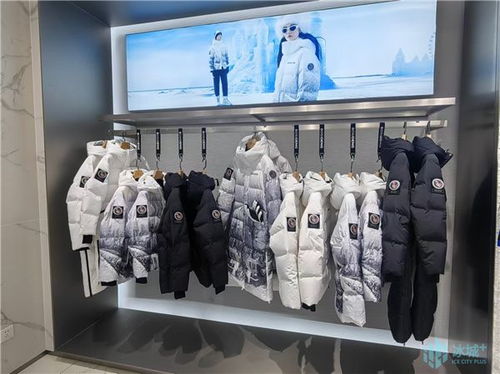 刷新當年落地 當年生產 當年上市的 哈爾濱速度 立冬時節(jié) 爾濱 波司登 如約而至