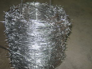 帶刺圍網(wǎng)報(bào)價(jià) 廠家