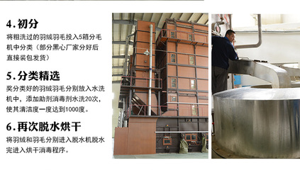 【羽絨羽毛水洗白鴨毛片 枕頭床墊填充原材料 2~4cm鴨毛片工廠批發】價格,廠家,圖片,羽毛、羽絨,安徽方翔羽絨制品-